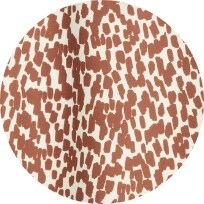 An animal patterned print