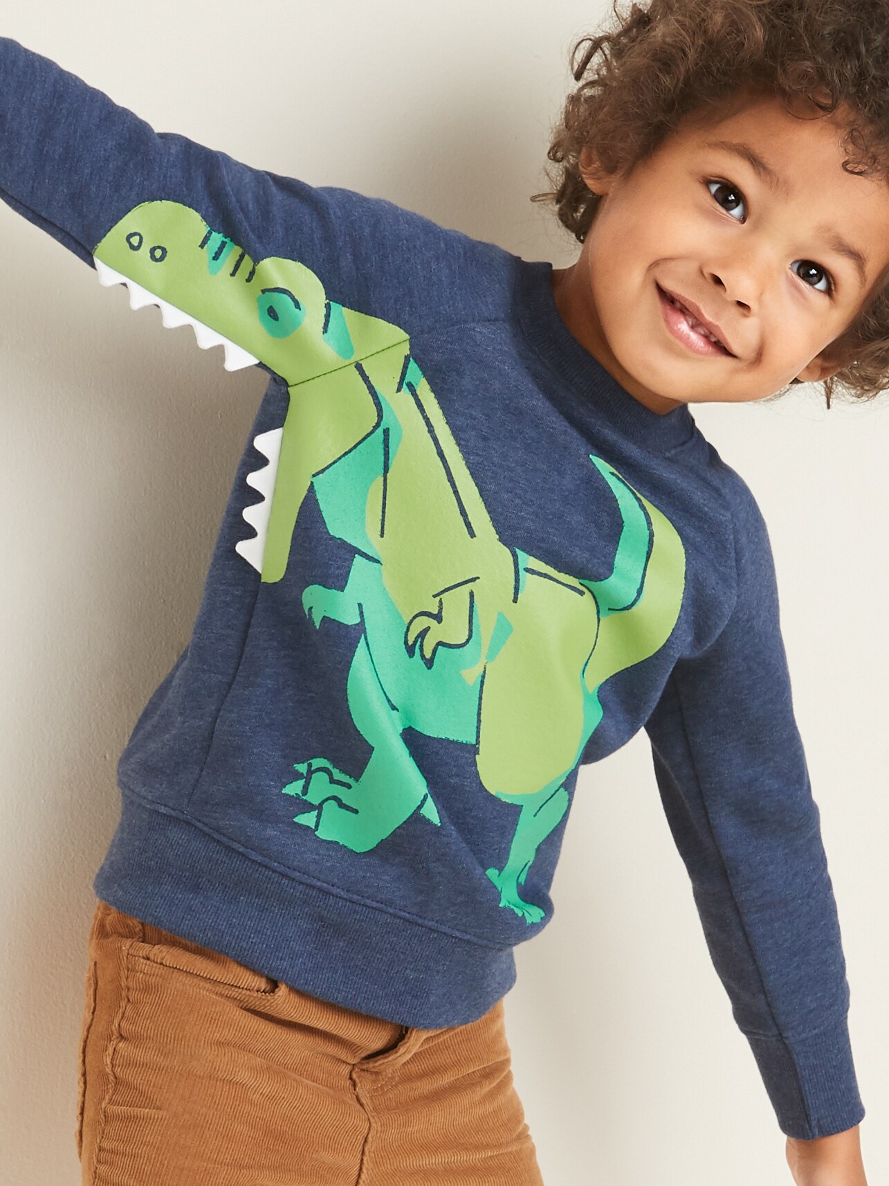 Boys shop dinosaur sweatshirt