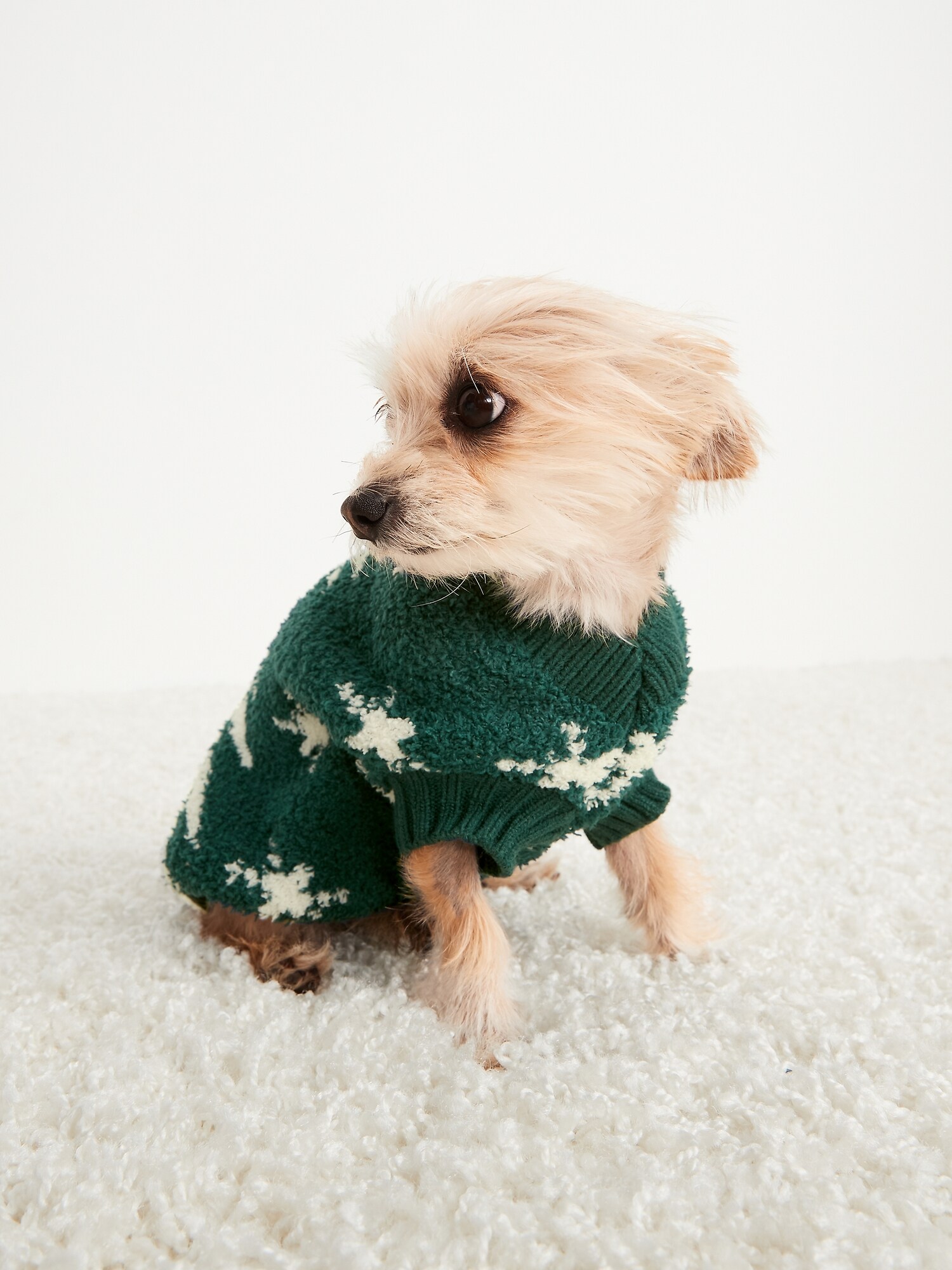 pet sweater old navy