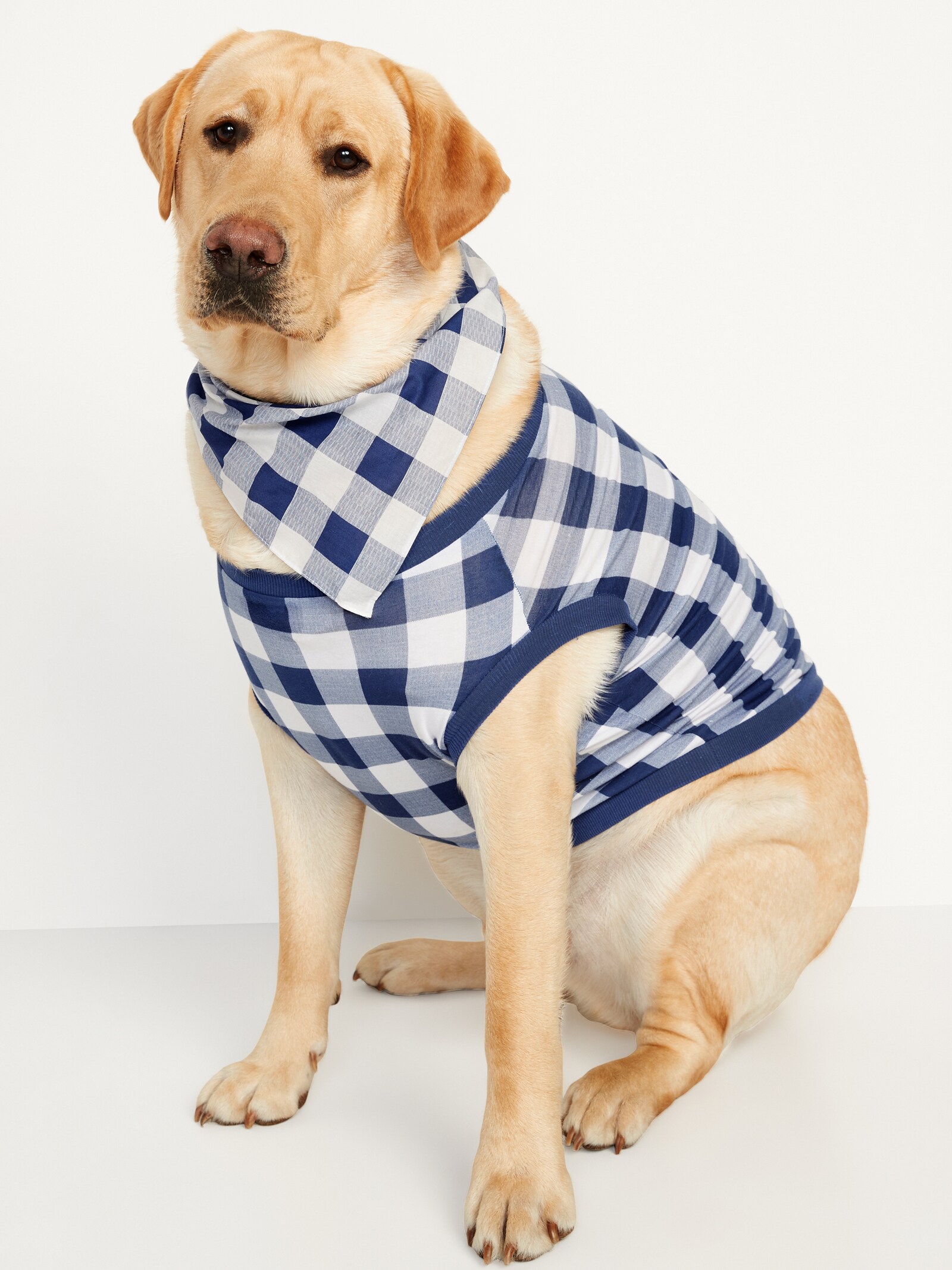dog bandana old navy