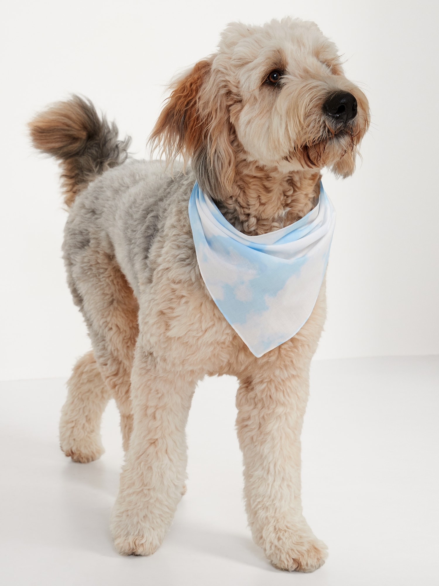 Old Navy Printed Bandana 2-Pack for Pets white. 1