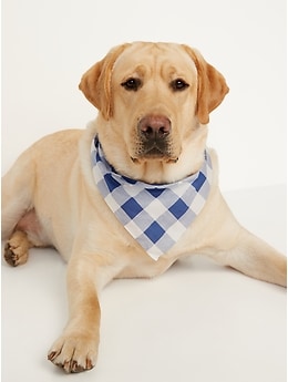 Navy shop dog bandana