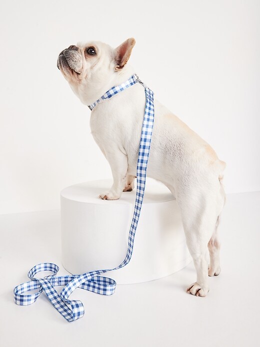 Printed Collar Leash Set for Pets Old Navy