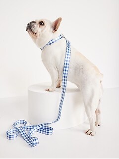Printed Collar & Leash Set for Pets