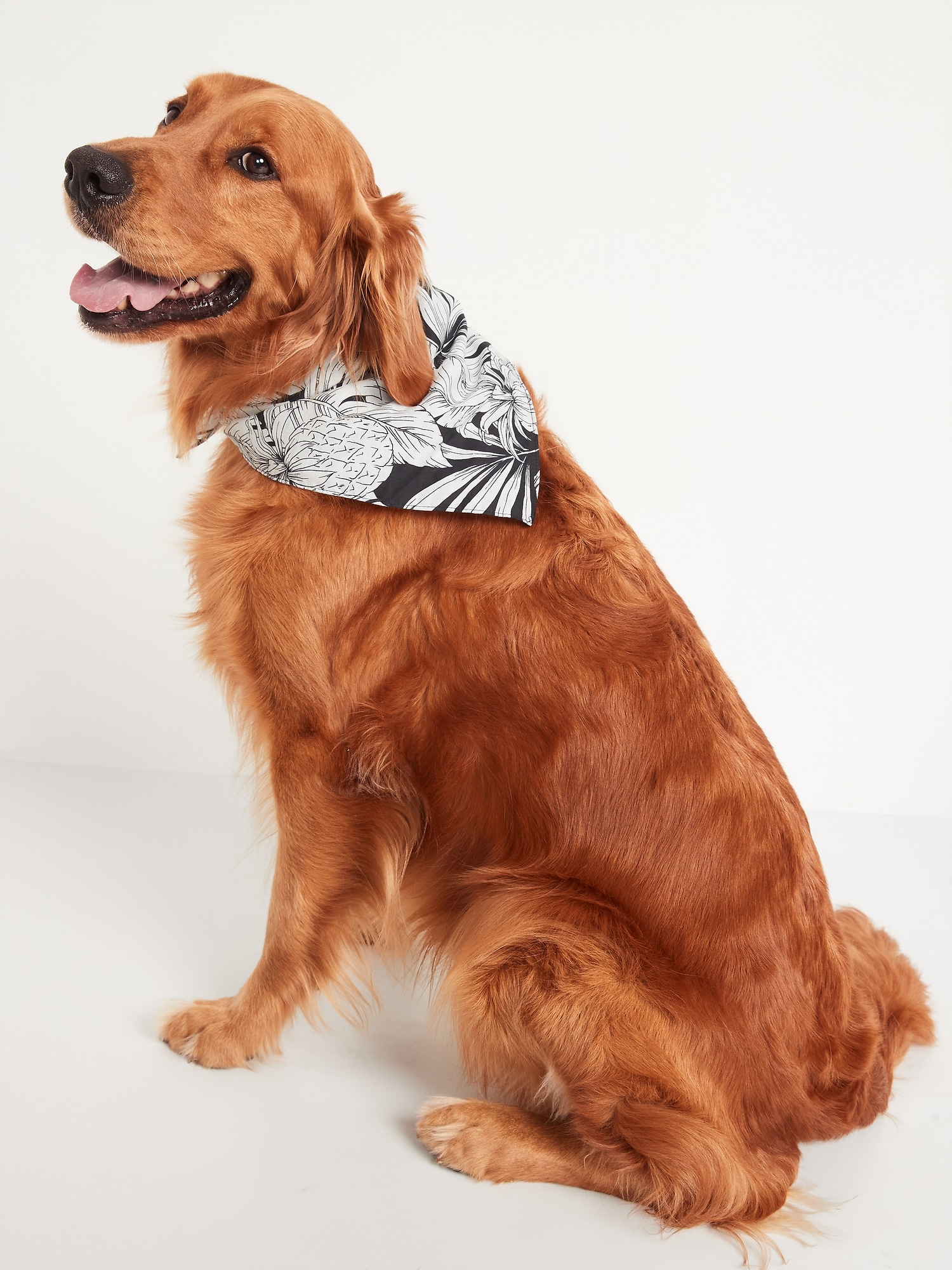 Funny Animals in Jungle Dog Bandanas,Triangle Reversible Pet Scarf for Boy  and Girl,Bandana for Small Medium Large and Extra Large Dogs-Small :  : Pet Supplies