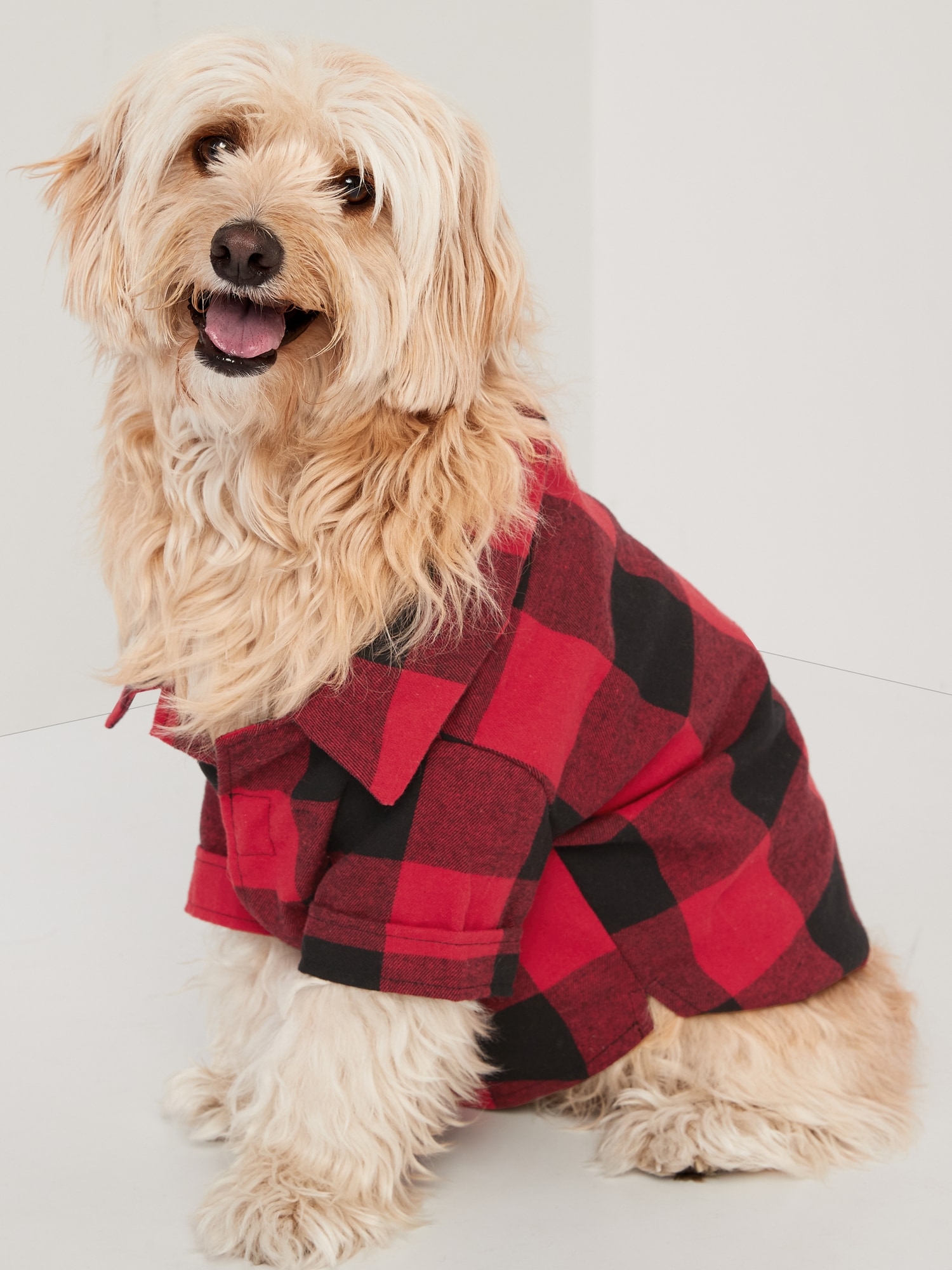 Puppy 2024 flannel shirt