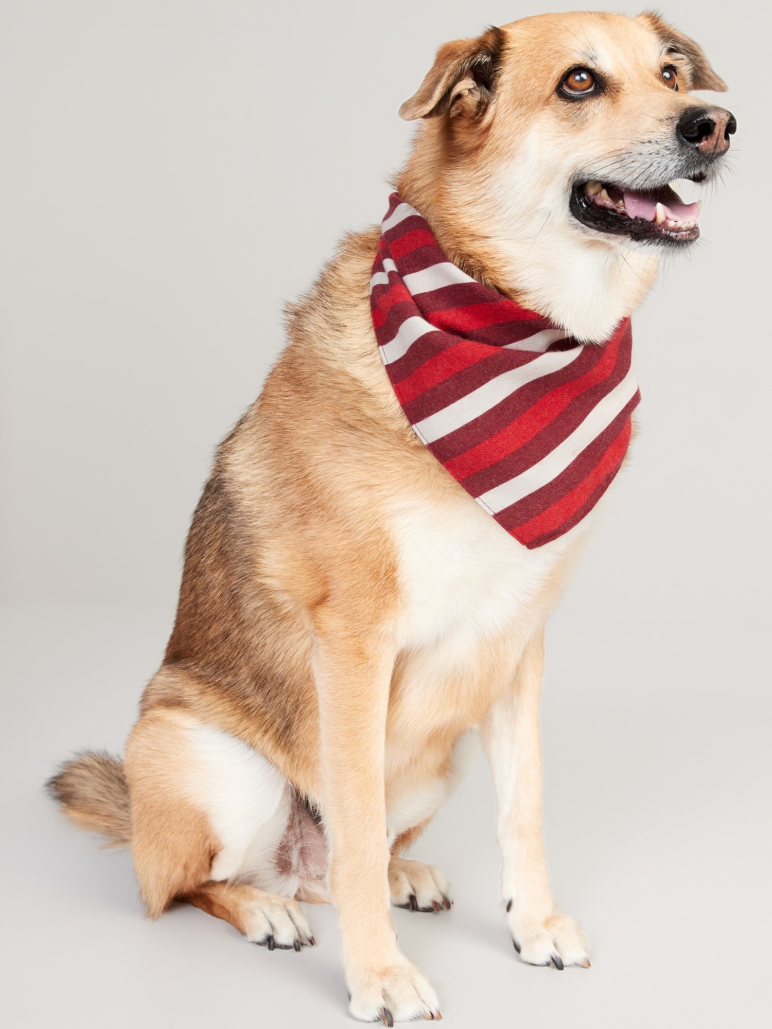 Old Navy Patterned Flannel Bandana for Pets multi. 1