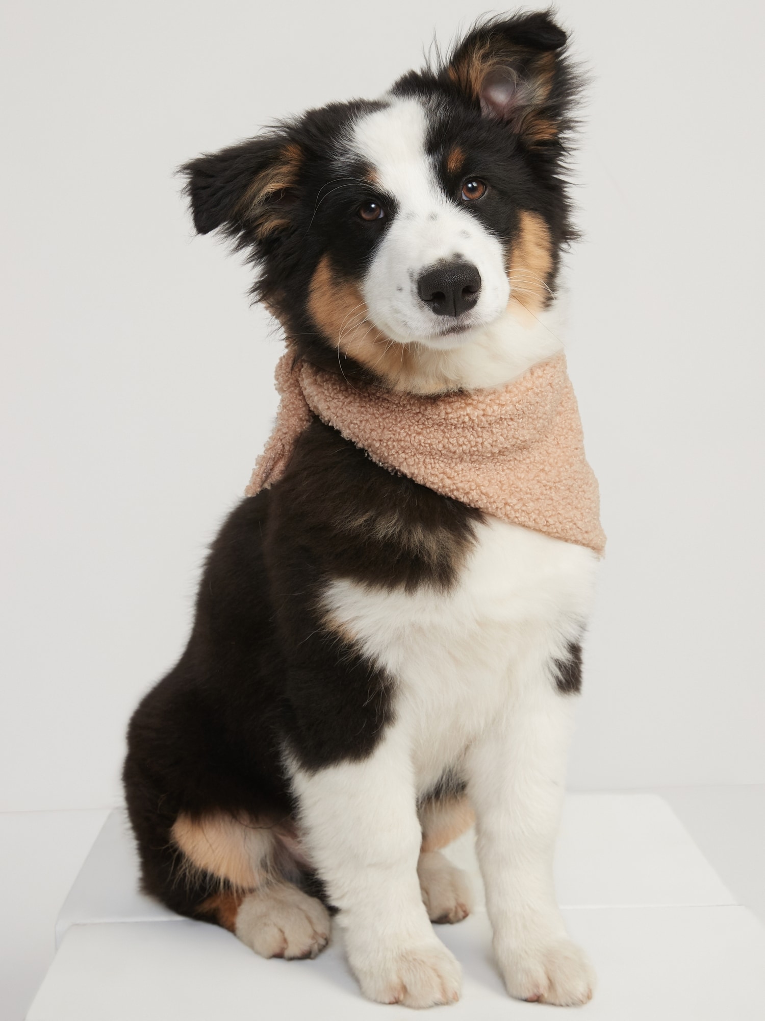 Old Navy Patterned Flannel Bandana for Pets brown. 1