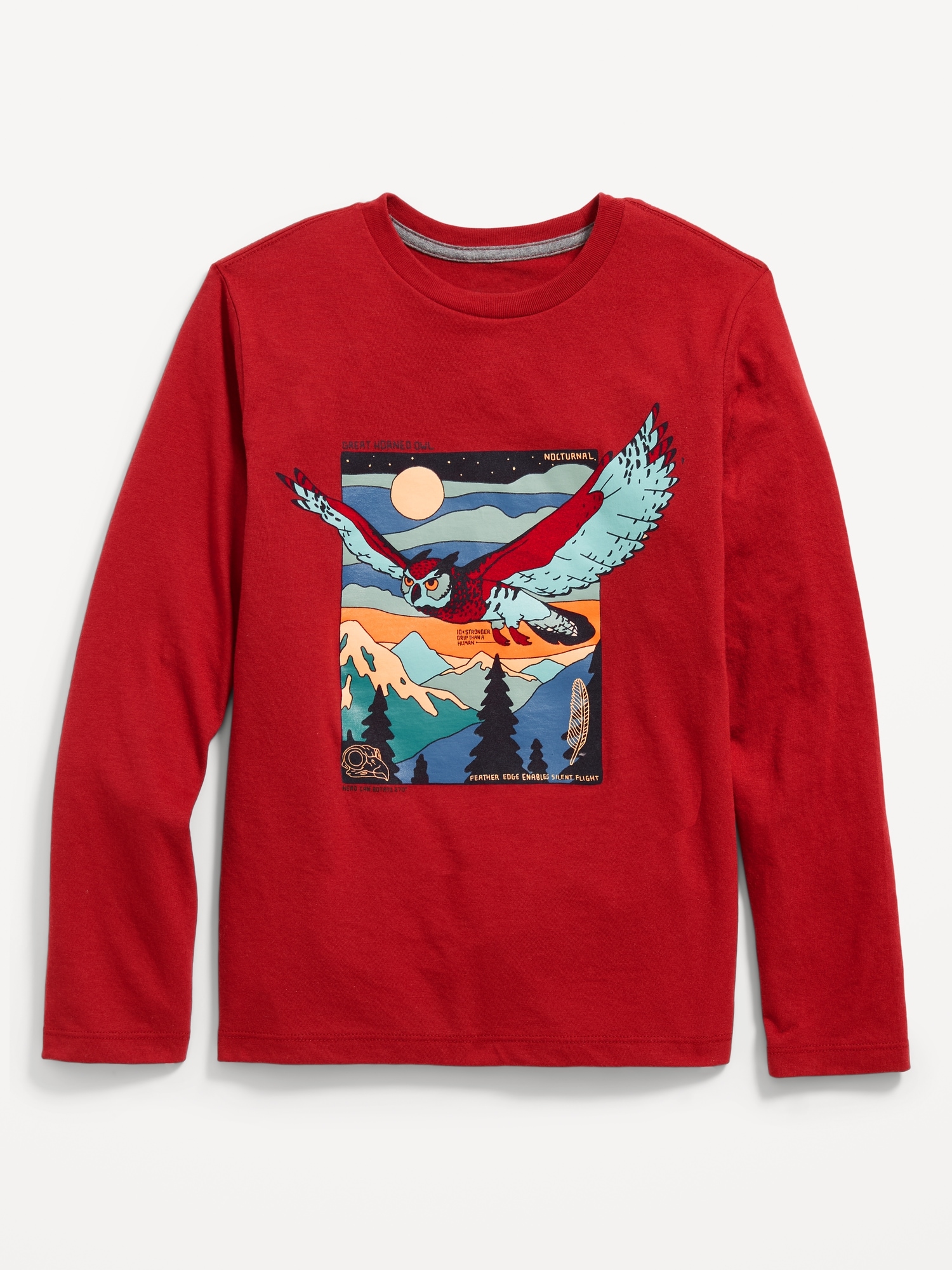 Long-Sleeve Graphic T-Shirt for Boys | Old Navy