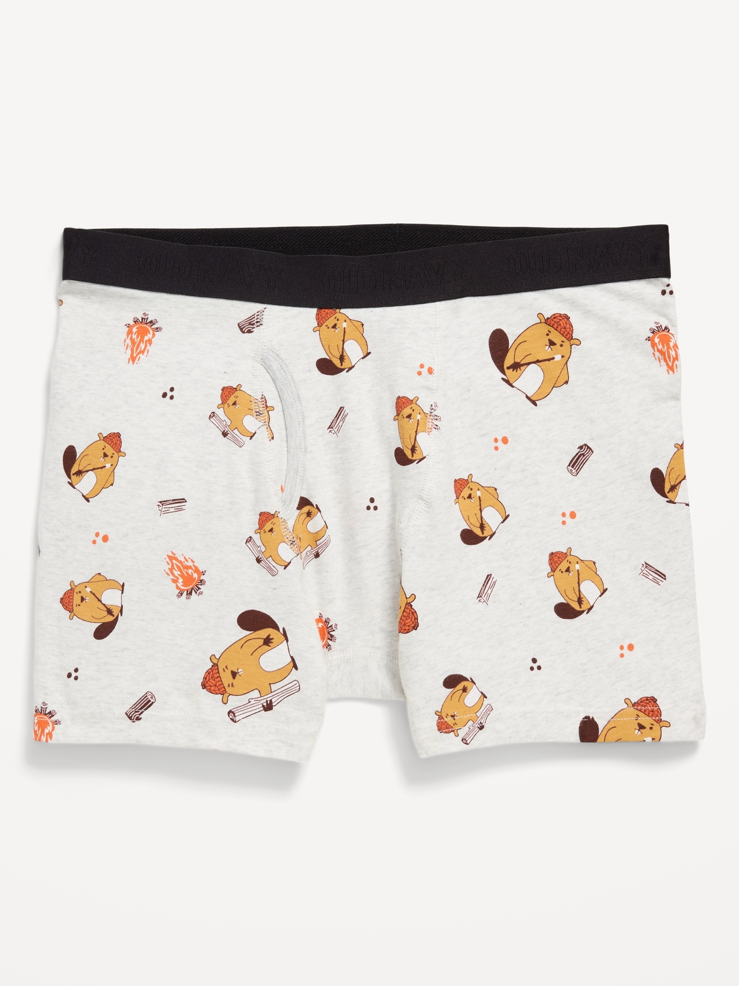 Printed Boxer Briefs -- 4.5-inch inseam