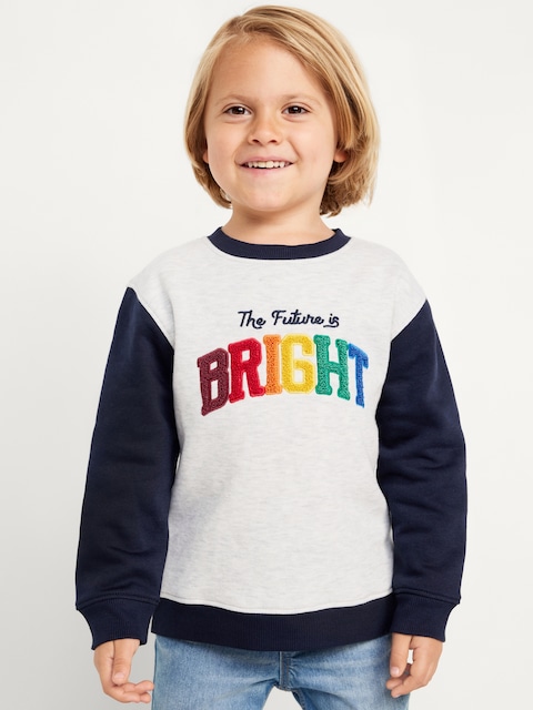 Oversized Crew-Neck Embroidered Sweatshirt for Toddler Boys - Gray
