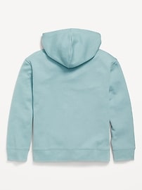 View large product image 3 of 4. Fleece Zip-Front Hoodie for Boys