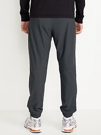 L'image numéro 2 présente Pantalon de jogging ProGym