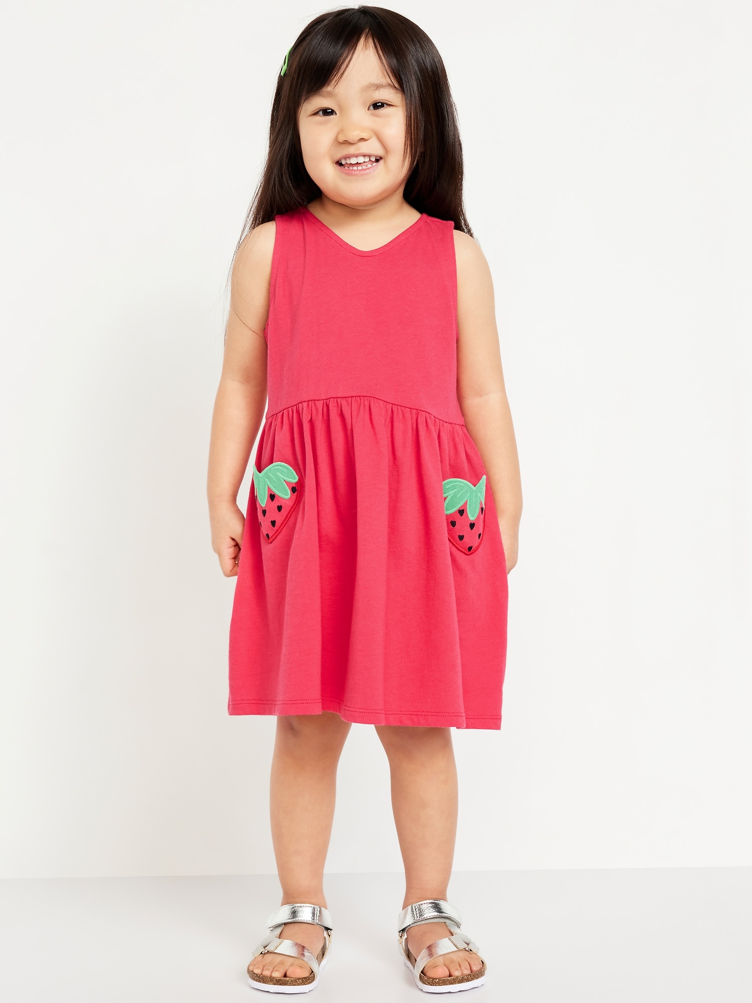 Sleeveless Applique Fit and Flare Dress for Toddler Girls