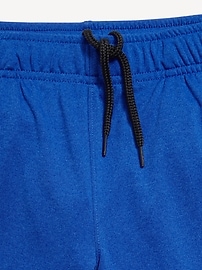 View large product image 3 of 4. Above Knee Go-Dry Performance Shorts for Boys