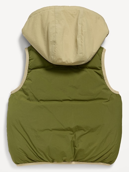Voir une image plus grande du produit 2 de 2. Veste rembourrée hydrorésistante Frost Free à capuchon pour tout-petit garçon