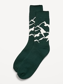 L'image numéro 1 présente Chaussettes à doublure douillette pour Homme